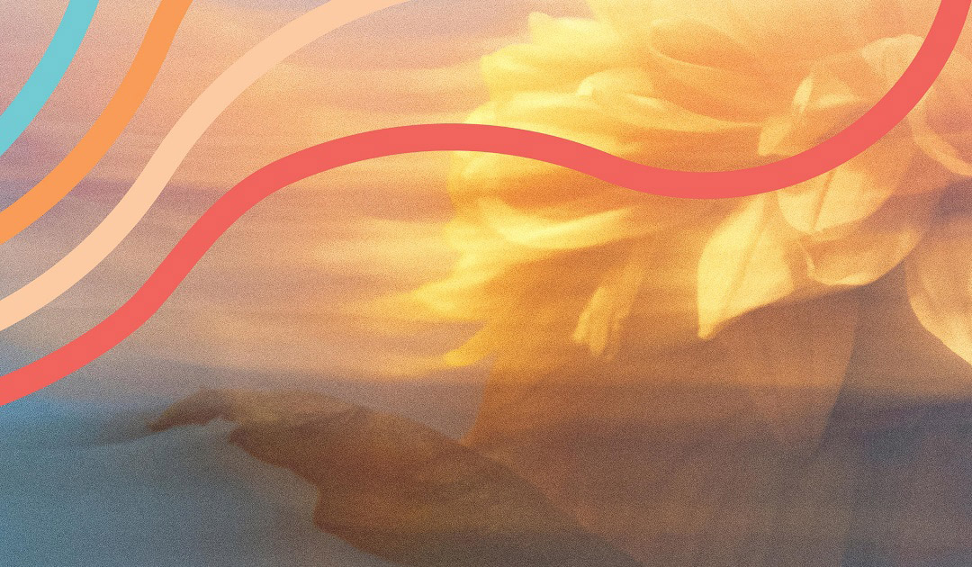 Clases semanales presenciales